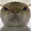 三角洲行动鼠鼠工具