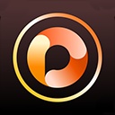 photodirector