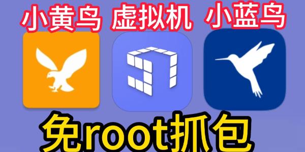 抓包工具app