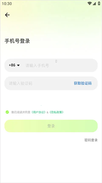 元游猫