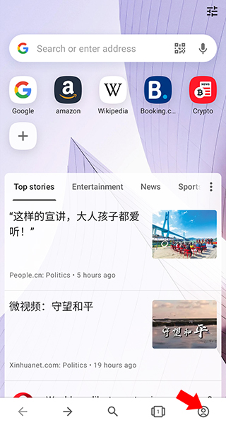 Opera浏览器截图1