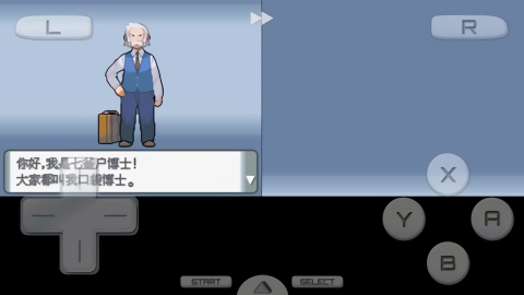 口袋妖怪钻石截图4