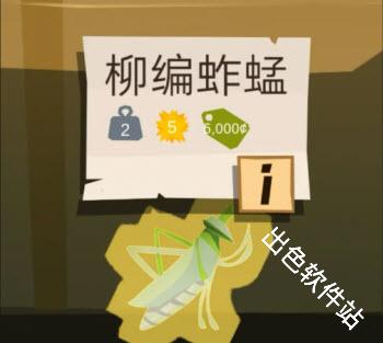 边境之旅国际服