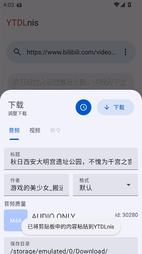 YTDLnis截图4