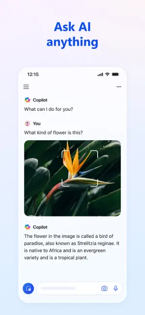 Microsoft Copilot截图3