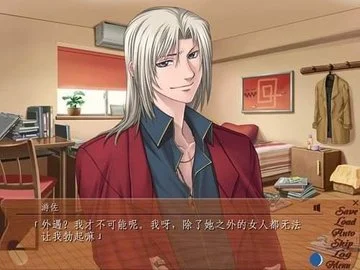 银之冠碧之泪截图3