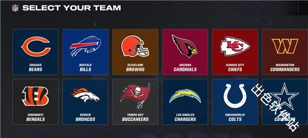 麦登橄榄球25国际服