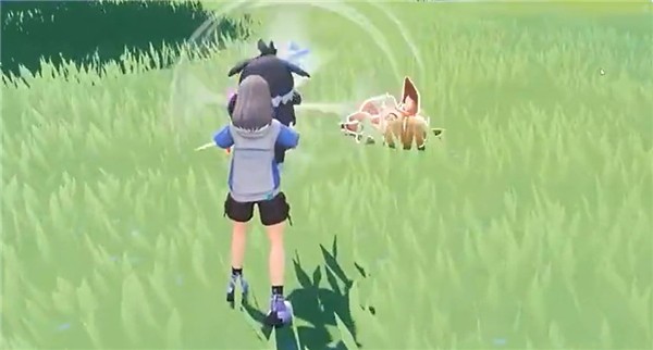 酷比大陆国际服