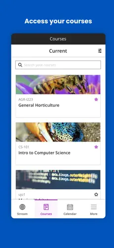 blackboard教学平台截图1