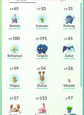 宝可梦go