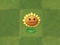 植物大战僵尸亚马逊版本