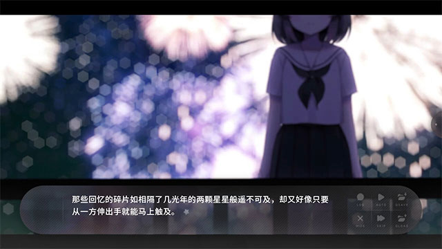 夏末盛开的花截图5