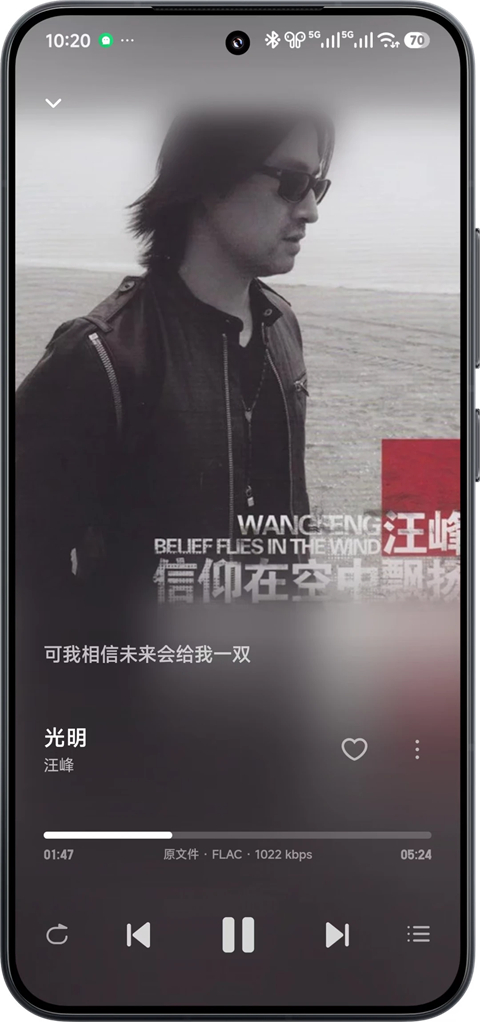 飞牛音乐截图3