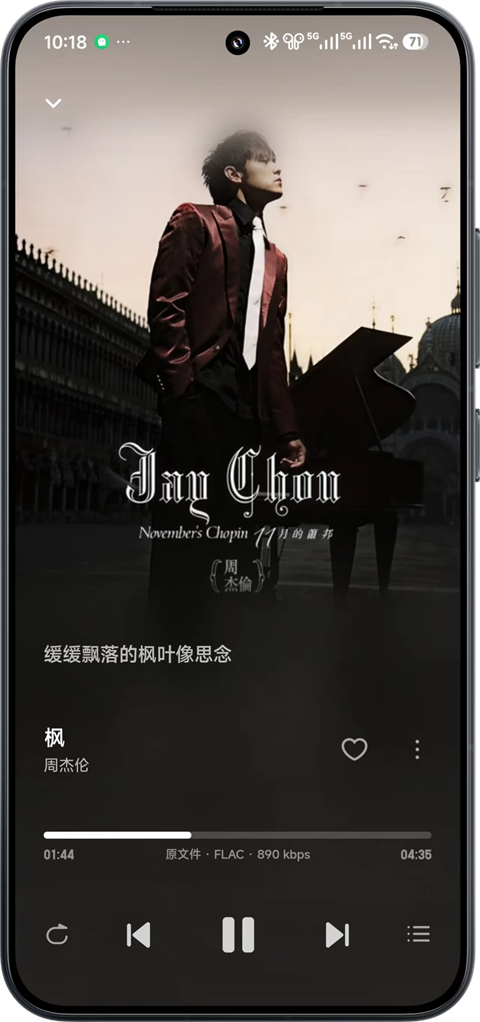 飞牛音乐截图2