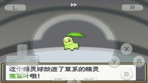 口袋妖怪心金魂银截图4