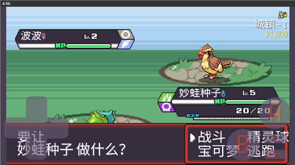 宝可梦肉鸽截图2