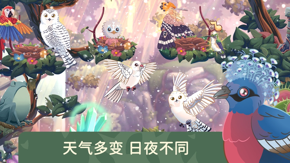鸟类世界截图5