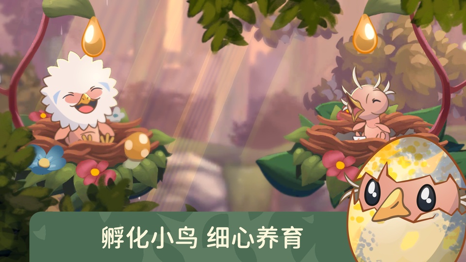 鸟类世界截图4
