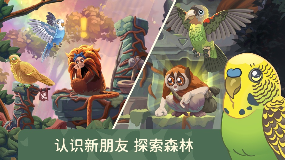 鸟类世界截图3