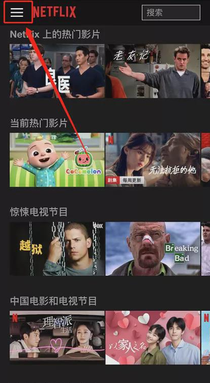 Netflix截图4