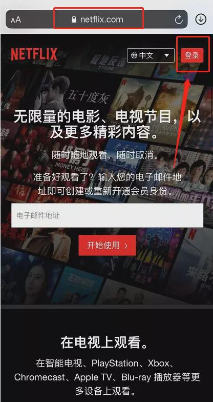 Netflix截图2
