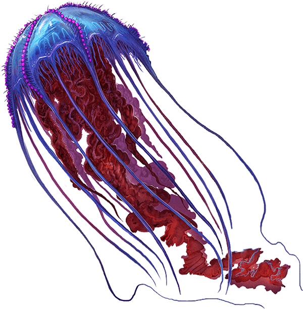方舟生存进化重制版