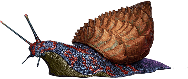 方舟生存进化重制版