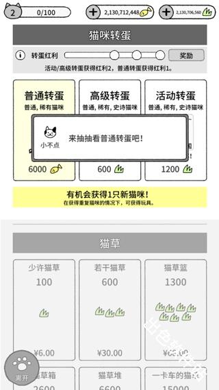 猫咪真的很可爱