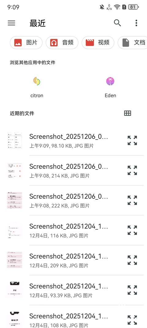 citron模拟器