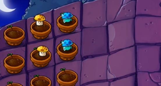 植物大战僵尸抽卡版