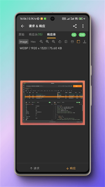蓝鸟抓包高级版截图4