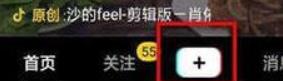 tiktok国际版