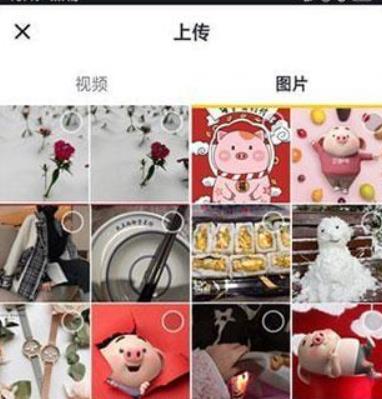 tiktok国际版