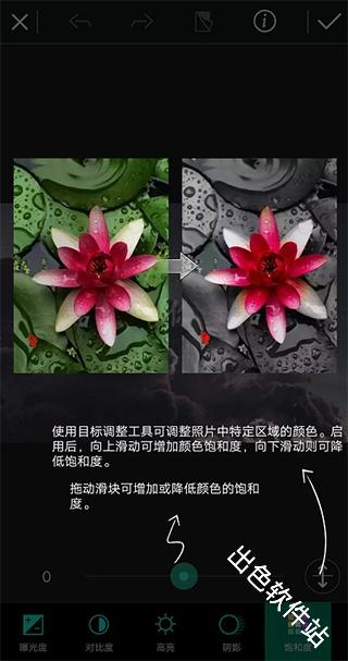 photodirector