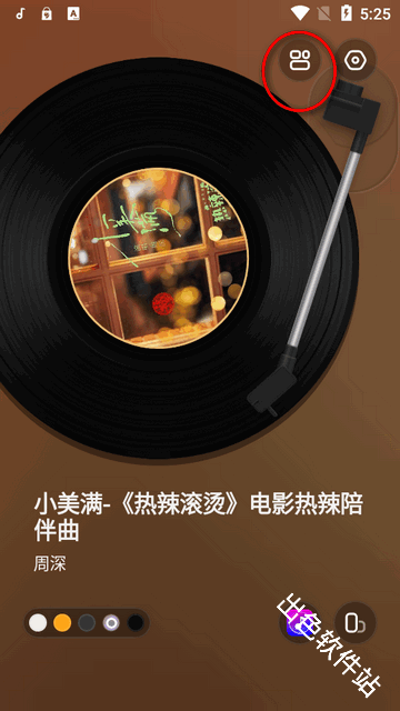 谜底黑胶