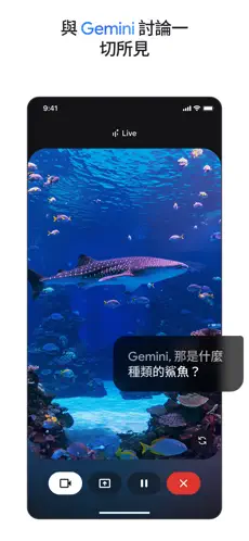 Gemini截图2