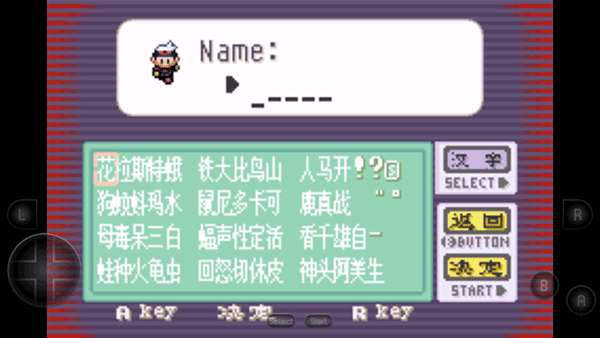 口袋妖怪蓝宝石截图1