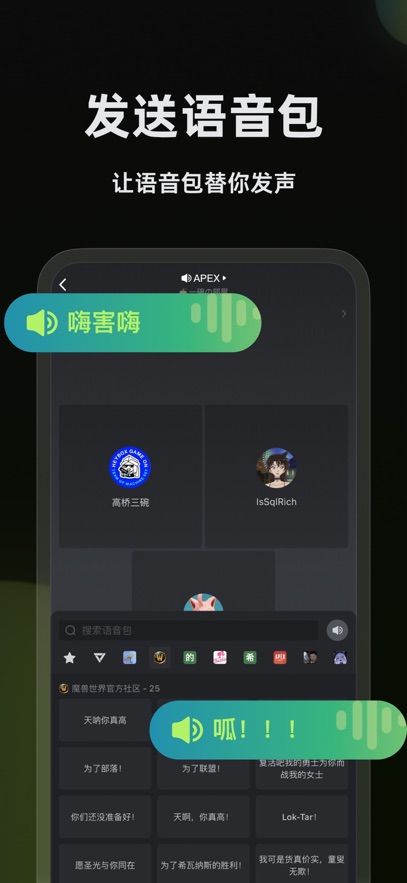 黑盒语音截图2