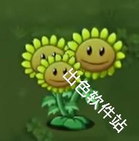 植物大战僵尸转基因版