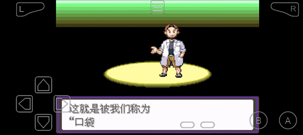 口袋妖怪漆黑的魅影截图1