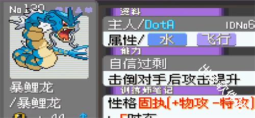 口袋妖怪漆黑的魅影