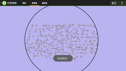 细胞实验室截图1