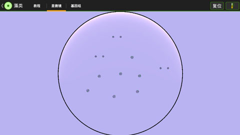 细胞实验室截图2