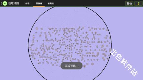细胞实验室