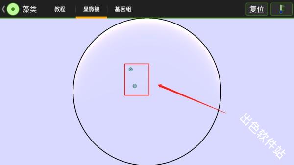 细胞实验室