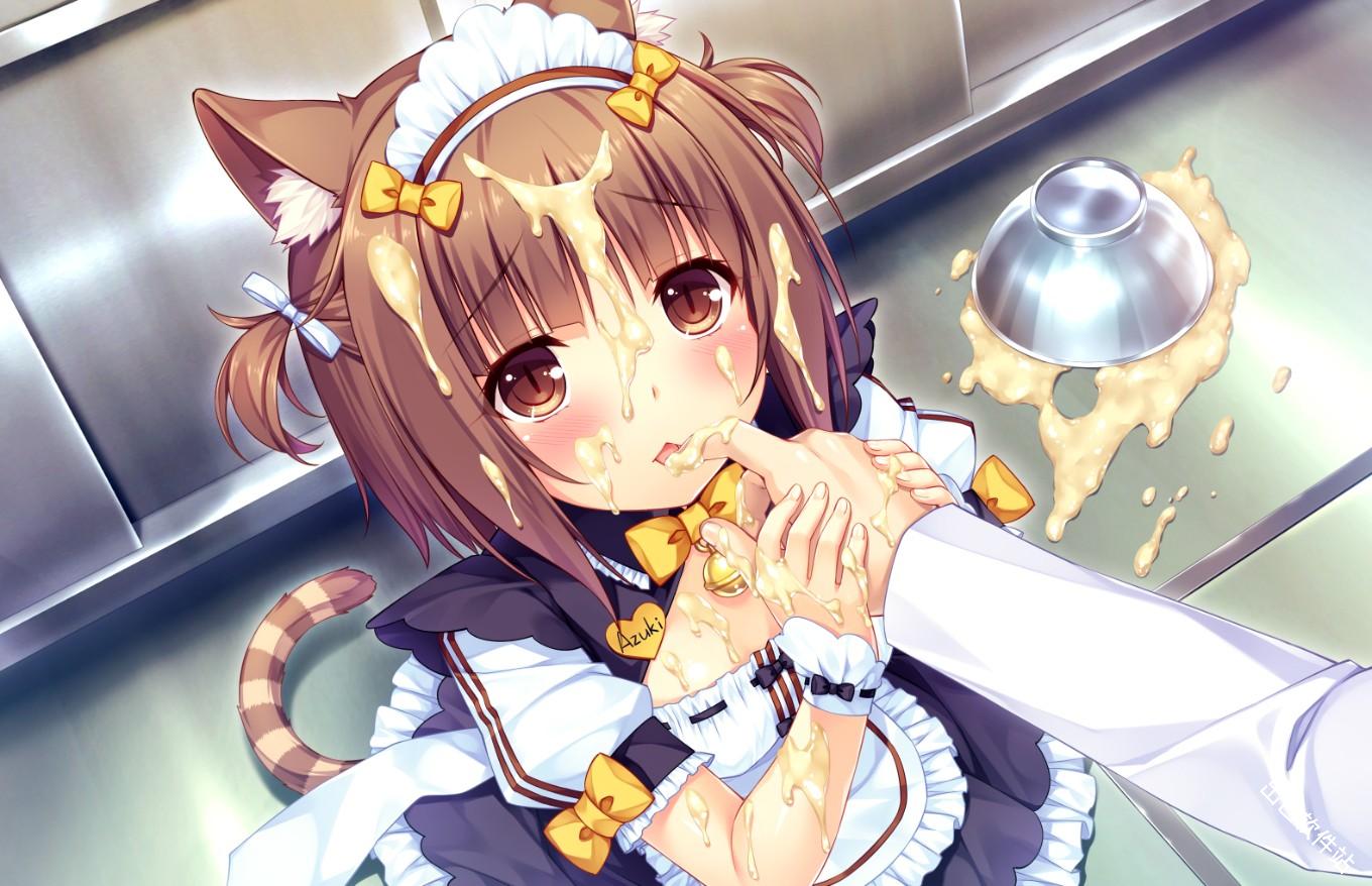 猫娘乐园2