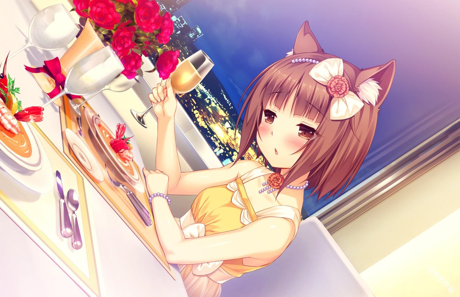 猫娘乐园2