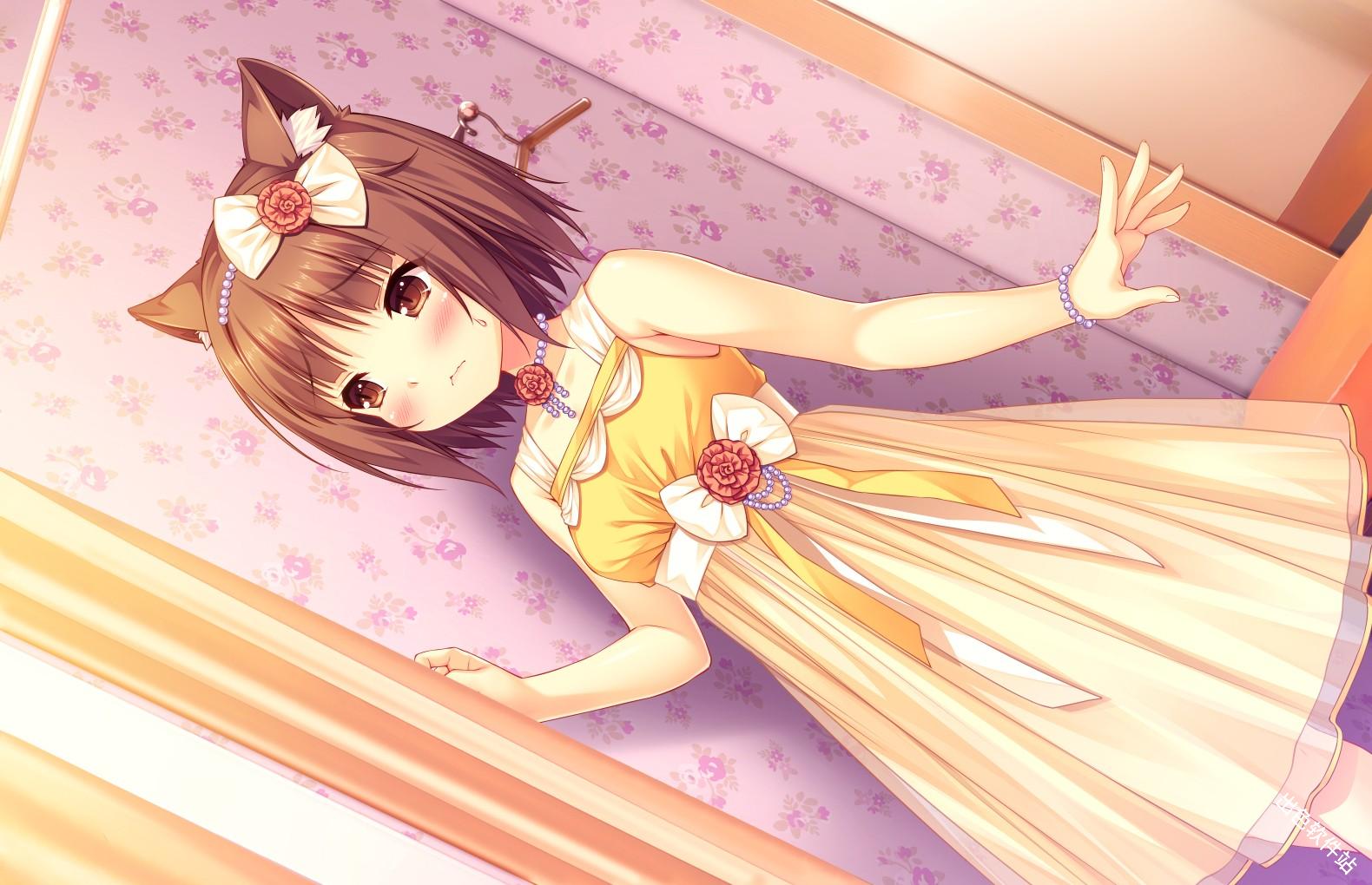 猫娘乐园2