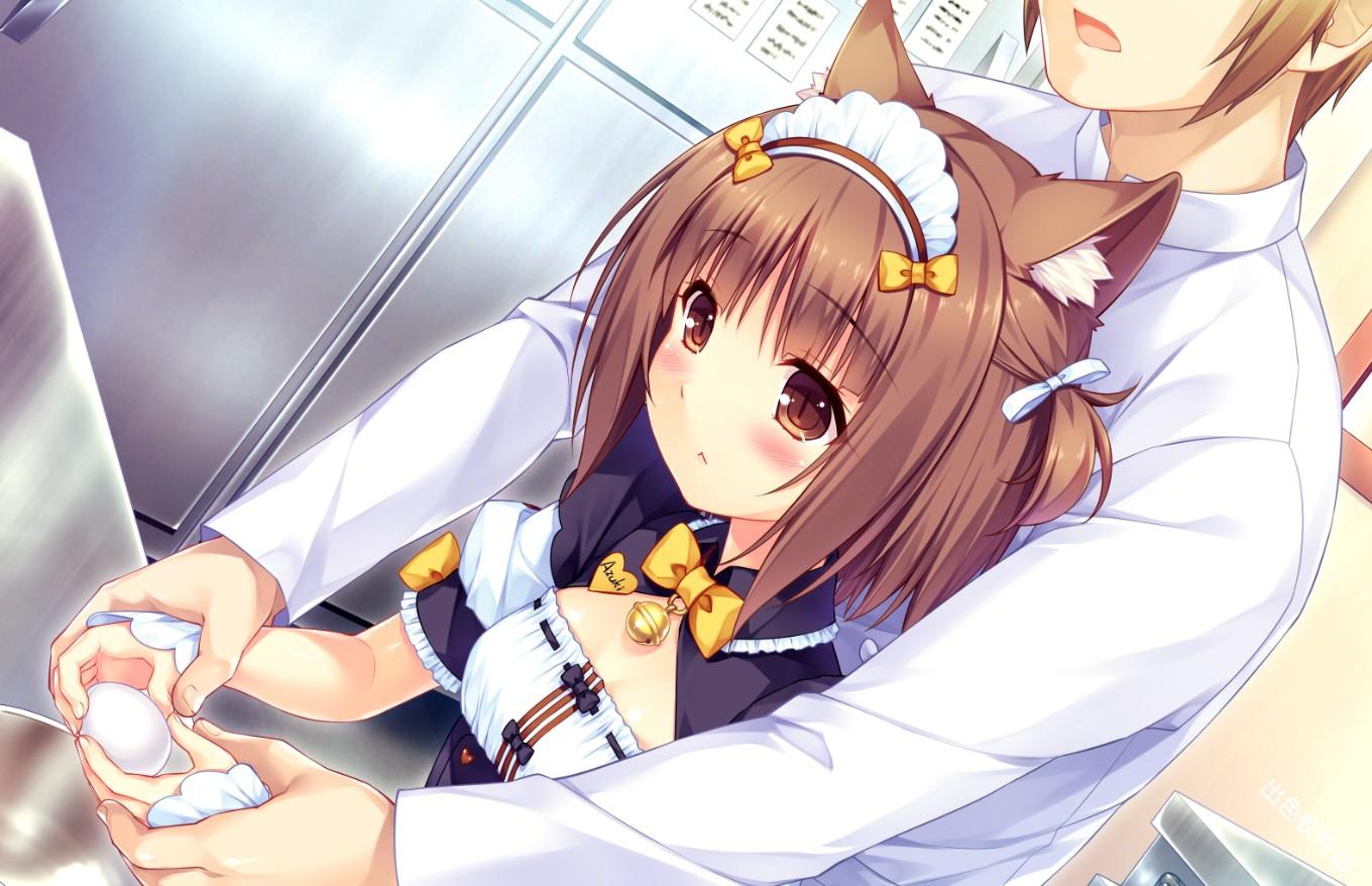 猫娘乐园2
