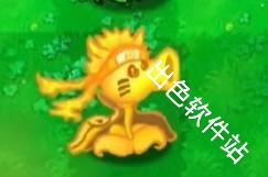 植物大战僵尸火影版